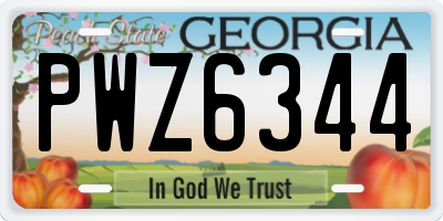 GA license plate PWZ6344