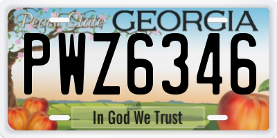 GA license plate PWZ6346