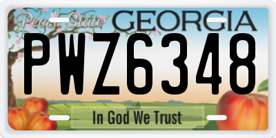 GA license plate PWZ6348