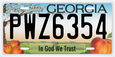 GA license plate PWZ6354
