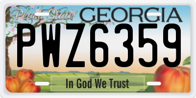 GA license plate PWZ6359