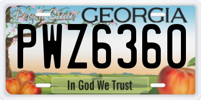 GA license plate PWZ6360