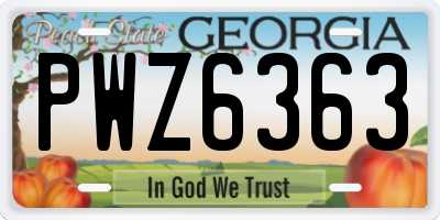 GA license plate PWZ6363