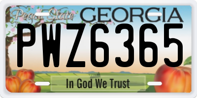 GA license plate PWZ6365