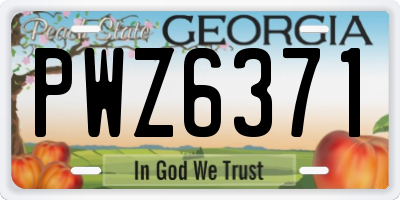 GA license plate PWZ6371