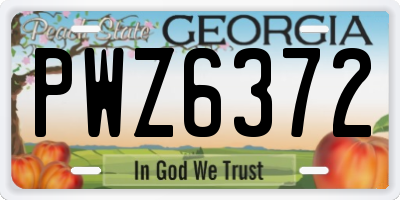 GA license plate PWZ6372