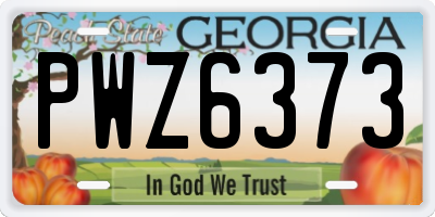 GA license plate PWZ6373