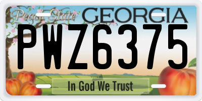 GA license plate PWZ6375