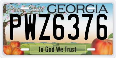 GA license plate PWZ6376