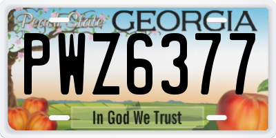GA license plate PWZ6377