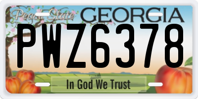 GA license plate PWZ6378