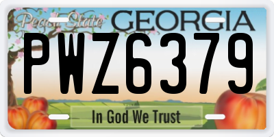 GA license plate PWZ6379
