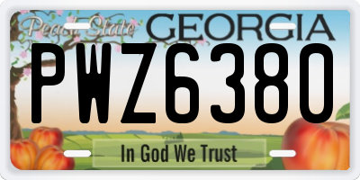 GA license plate PWZ6380