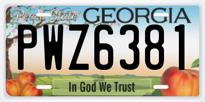 GA license plate PWZ6381