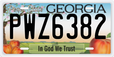 GA license plate PWZ6382