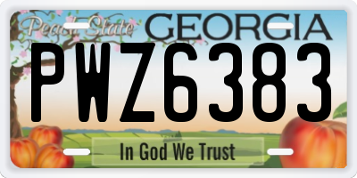 GA license plate PWZ6383