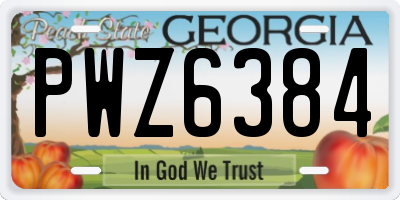 GA license plate PWZ6384