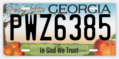 GA license plate PWZ6385