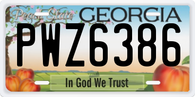GA license plate PWZ6386