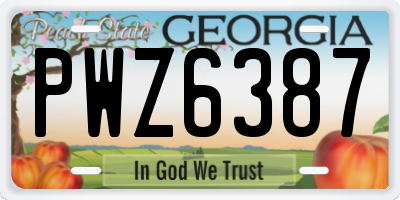 GA license plate PWZ6387