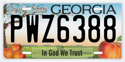 GA license plate PWZ6388