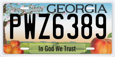 GA license plate PWZ6389