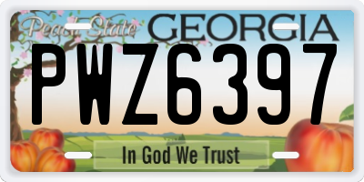GA license plate PWZ6397