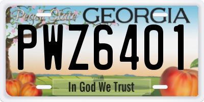 GA license plate PWZ6401