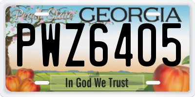 GA license plate PWZ6405
