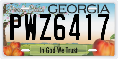 GA license plate PWZ6417