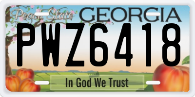 GA license plate PWZ6418