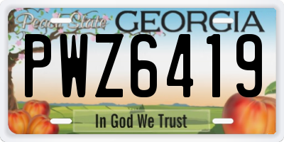GA license plate PWZ6419