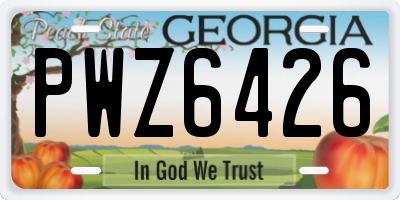 GA license plate PWZ6426
