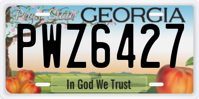 GA license plate PWZ6427