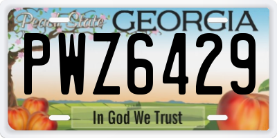 GA license plate PWZ6429