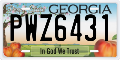 GA license plate PWZ6431