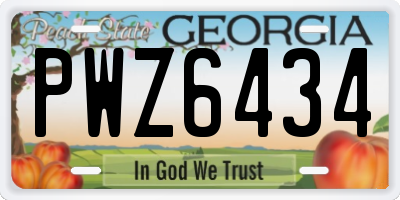 GA license plate PWZ6434