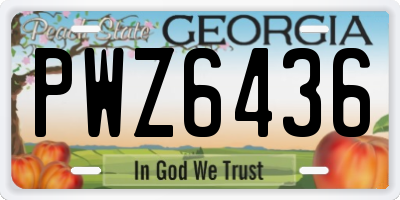 GA license plate PWZ6436