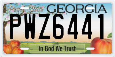 GA license plate PWZ6441