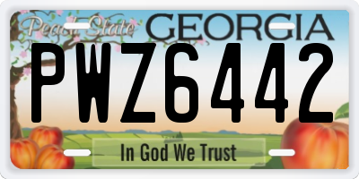 GA license plate PWZ6442