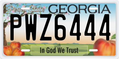 GA license plate PWZ6444