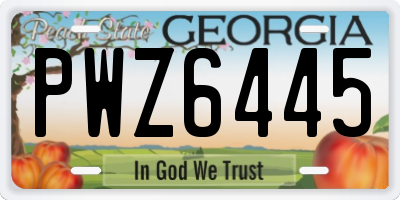 GA license plate PWZ6445
