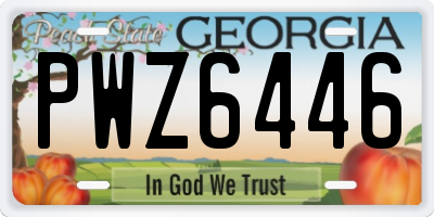 GA license plate PWZ6446