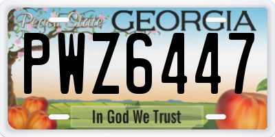GA license plate PWZ6447