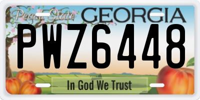 GA license plate PWZ6448