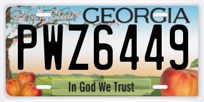 GA license plate PWZ6449