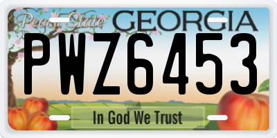GA license plate PWZ6453