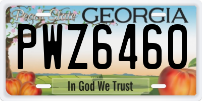 GA license plate PWZ6460