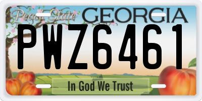 GA license plate PWZ6461