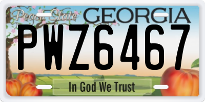 GA license plate PWZ6467